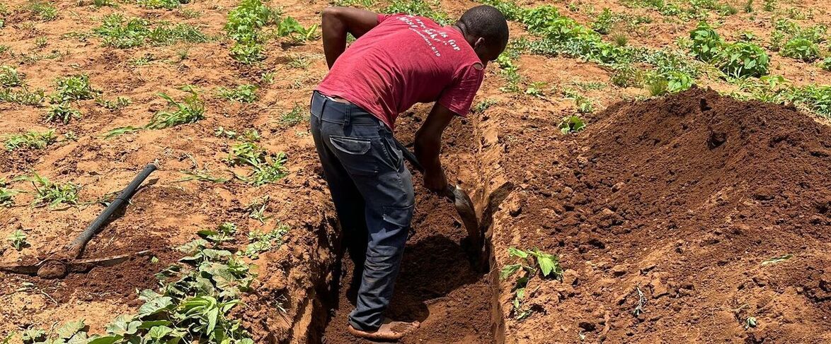 bnr_Child labour